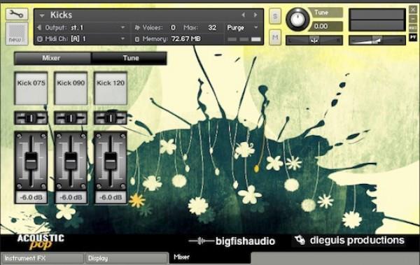 Big Fish Audio Acoustic Pop