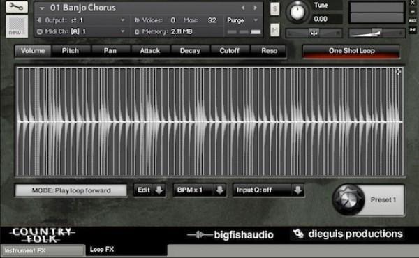 Big Fish Audio Country Folk