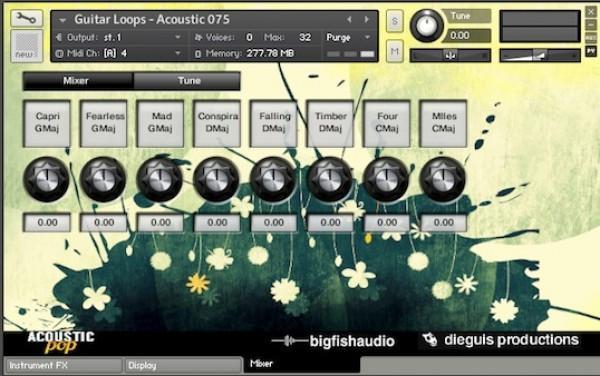 Big Fish Audio Acoustic Pop