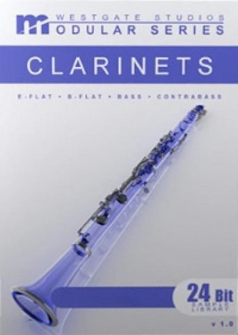Big Fish Audio Bass Clarinet Solo Modular Series