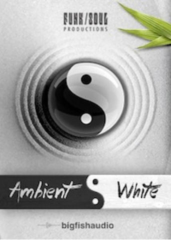 Big Fish Audio Ambient White