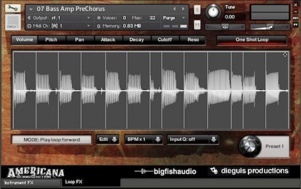 Big Fish Audio Americana Songwriter