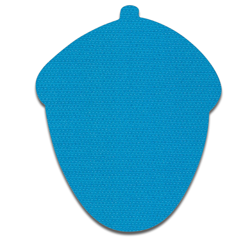 Acorn - Bright Blue