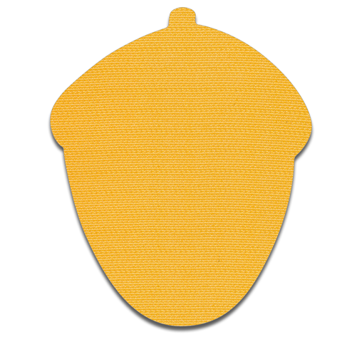 Acorn - Yellow
