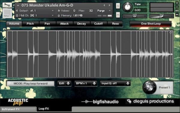 Big Fish Audio Acoustic Pop