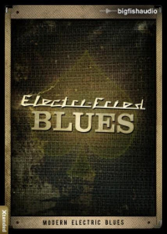 Big Fish Audio Electri-Fried Blues