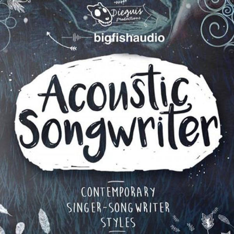 Big Fish Audio Acoustic Songwriter