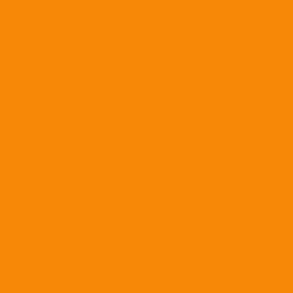 Straight Colors 2