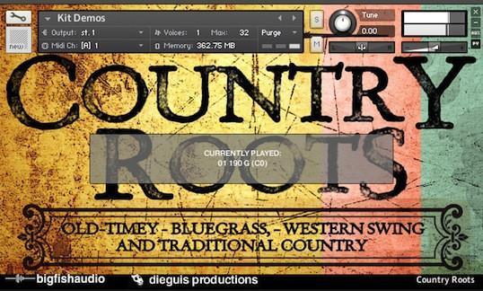 Big Fish Audio Country Roots