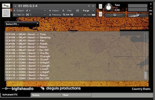 Big Fish Audio Country Roots