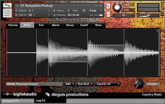 Big Fish Audio Country Roots